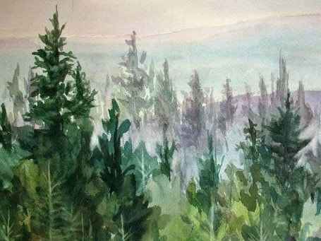 Evergreens in the Mist - artist unknown